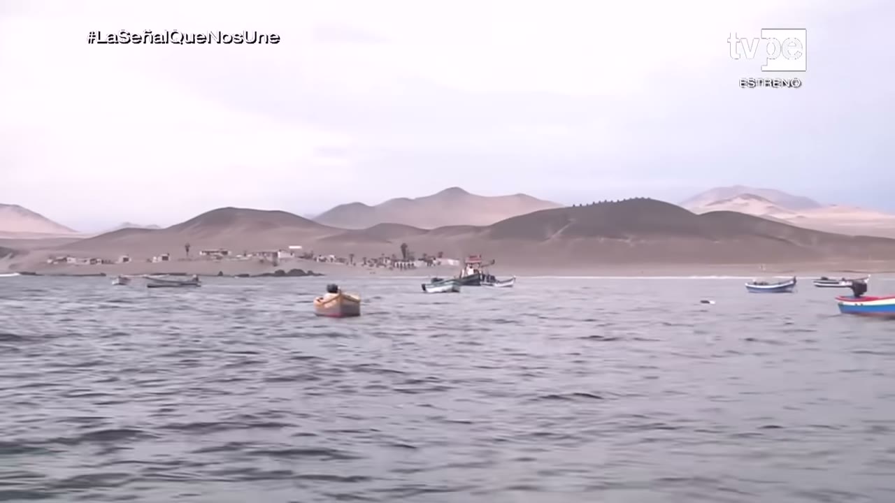 Botes en la caleta La Gramita