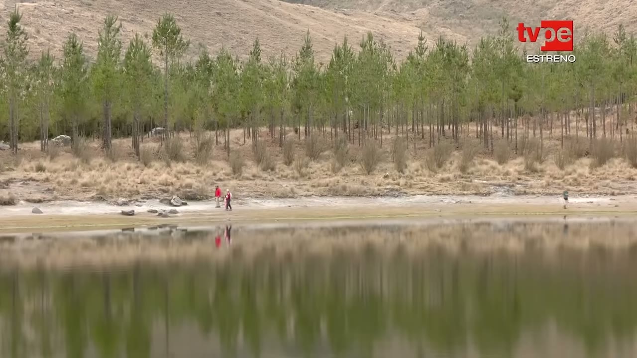 Laguna Radián y su bosque de pinos