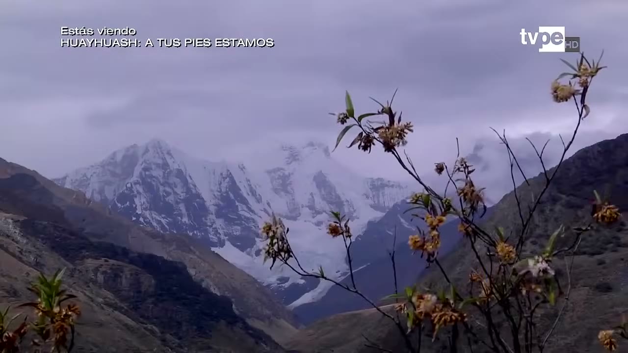 Los nevados del lado norte, camino al primer campamento