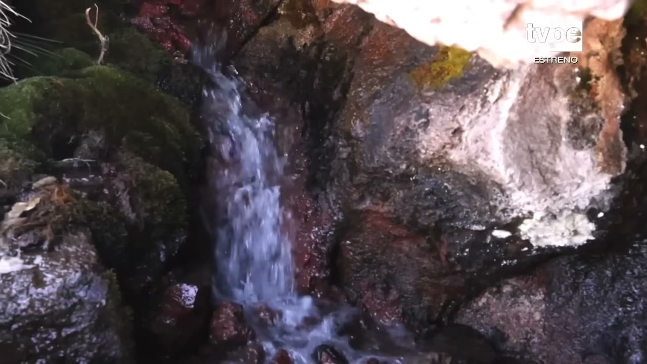 El agua que baja al pie del Mismi