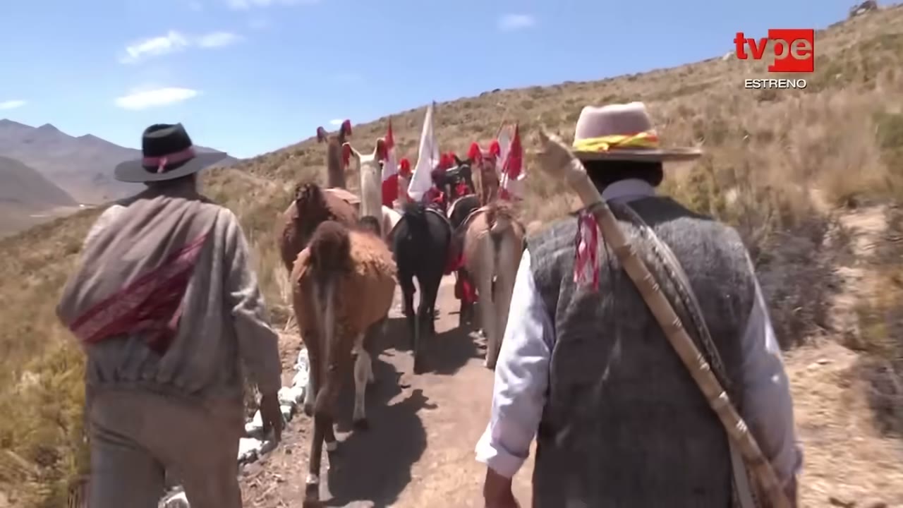 Caminata con llamas en Callalli