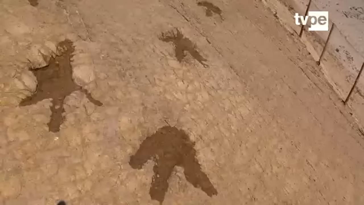 Huellas de dinosaurio en la roca de Querulpa