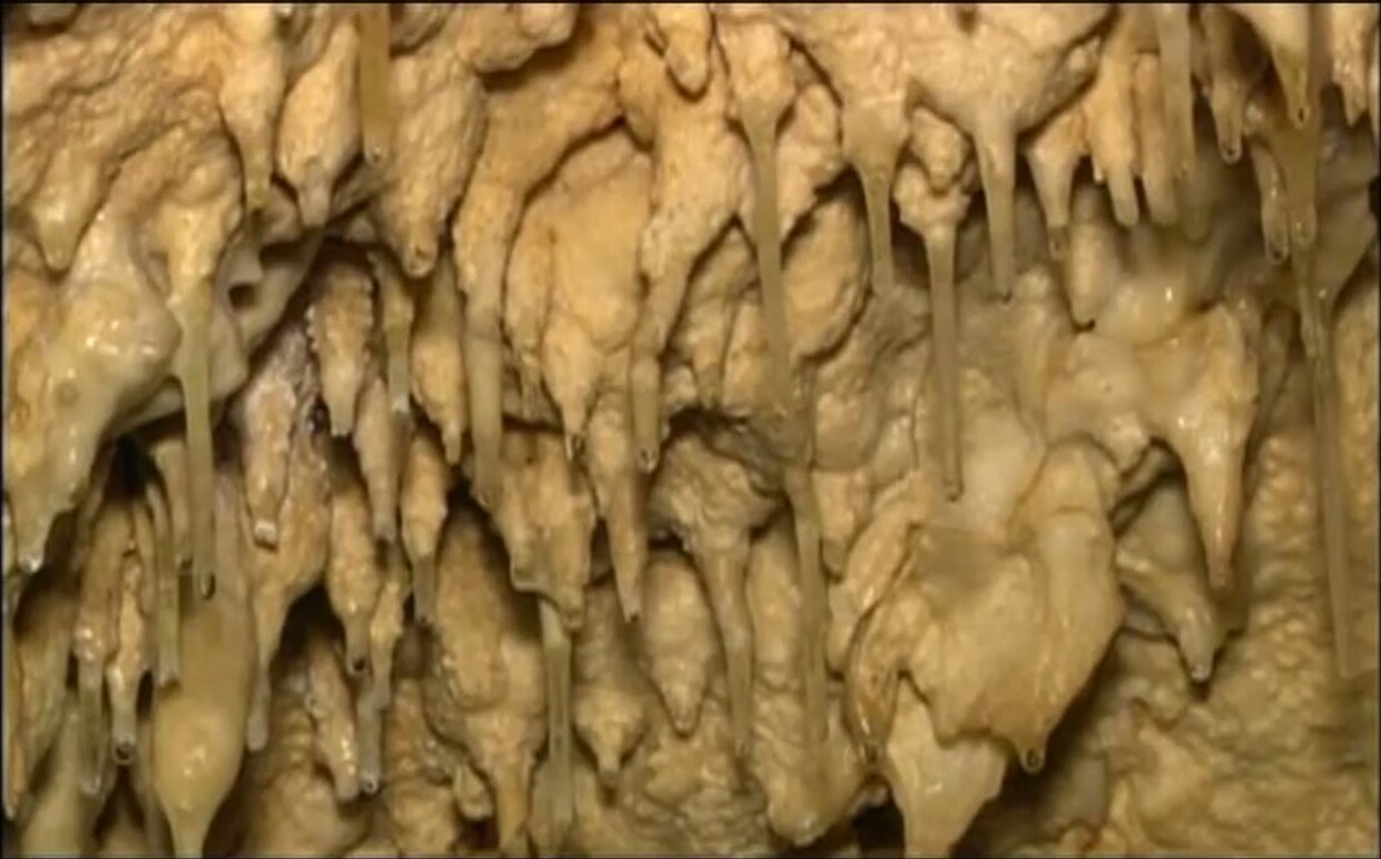 Estalactitas en la caverna Lágrimas de un Errante