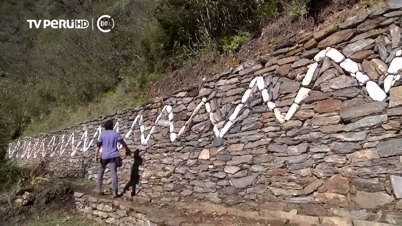 Las llamas de piedra en los andenes de Choquequirao