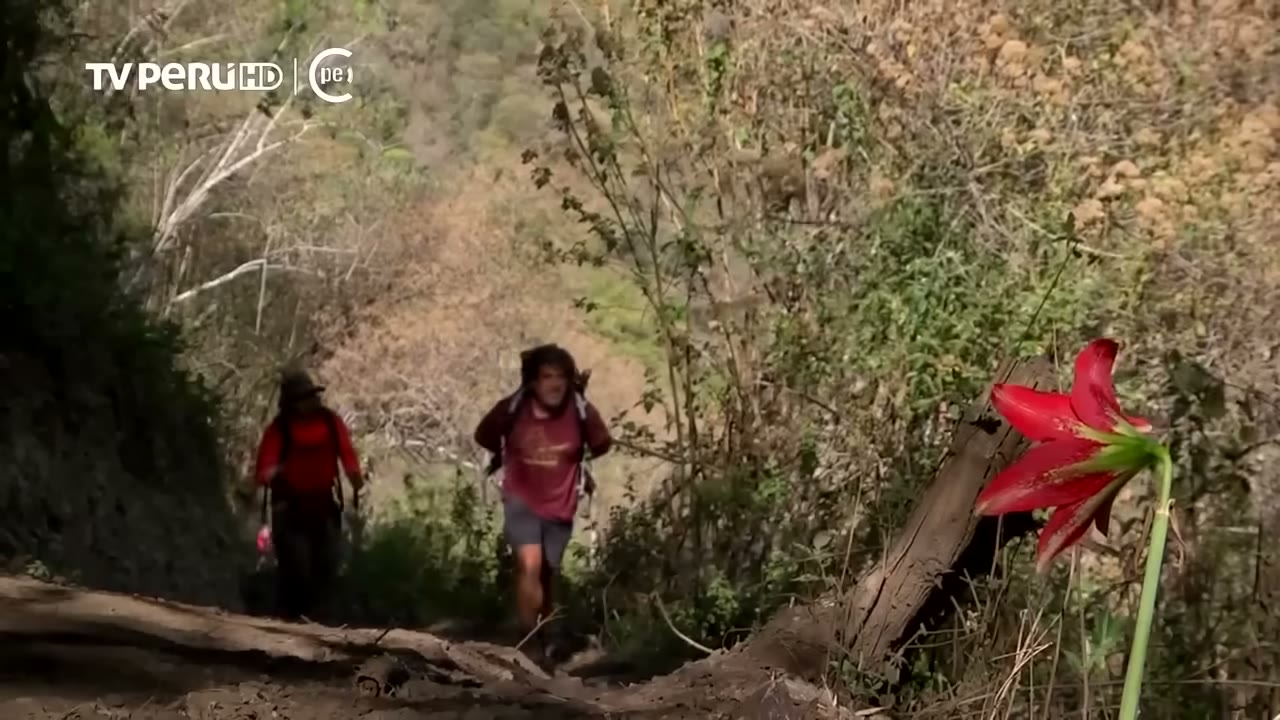 Camino de bajada hacia el río Blanco