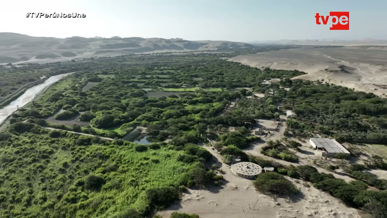 El bosque de Samaca en medio del desierto