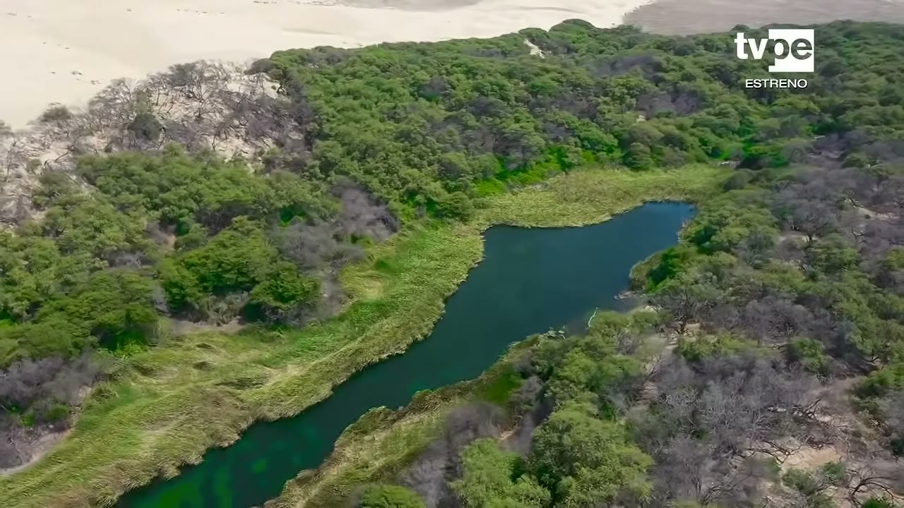 Laguna en el bosque de Cañoncillo