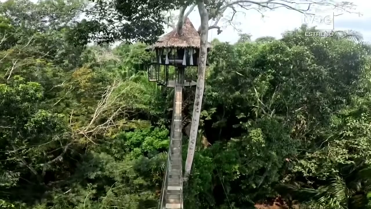Una casa en lo alto de los árboles