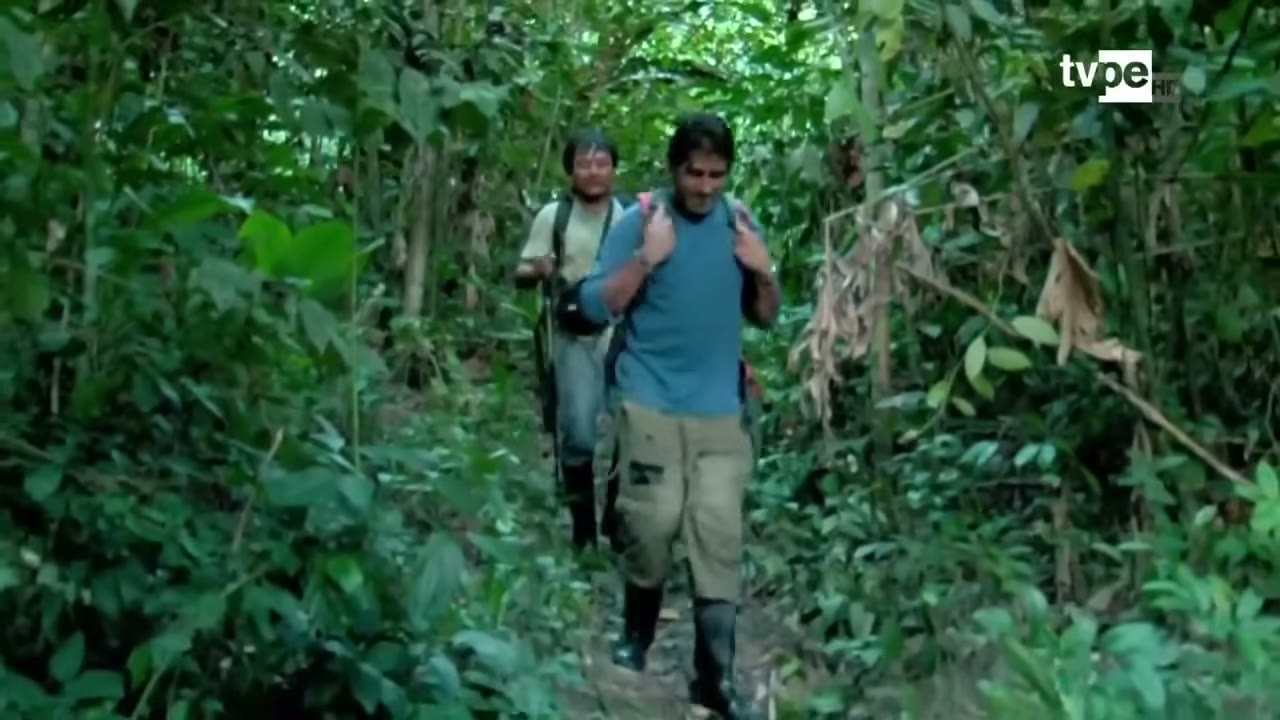 Por el bosque hacia el cerro Bartolo