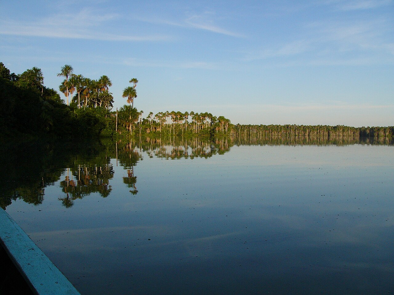 Palmeras de aguaje reflejadas en el lago Sandoval