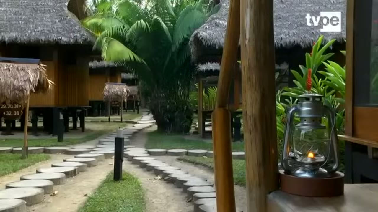 Bungalows de Reserva Amazónica entre palmeras