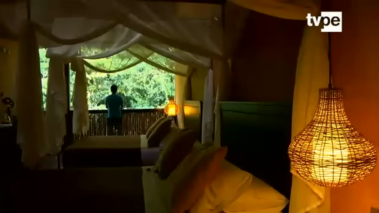 Habitación del TRC abierta a la selva