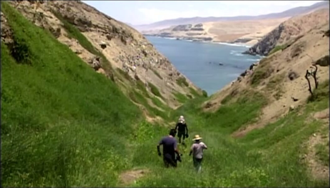 La quebrada de Yerba Buena bajando al mar