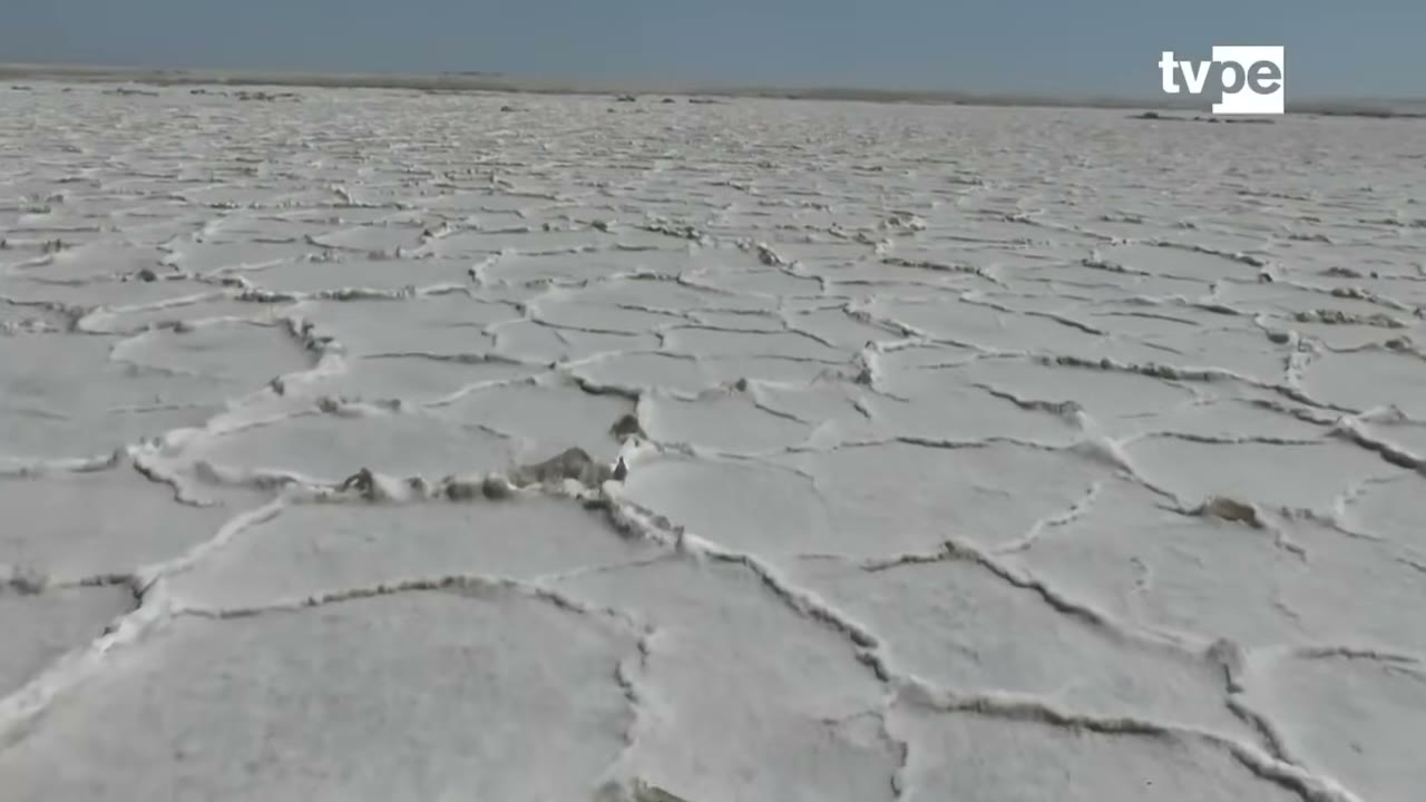La costra de sal de las salinas