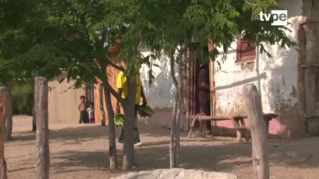 Una casa de Mala Vida