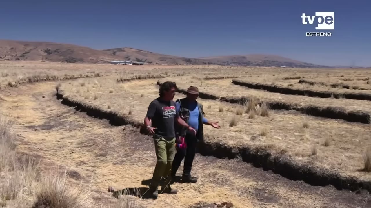 Los camellones de los waru waru