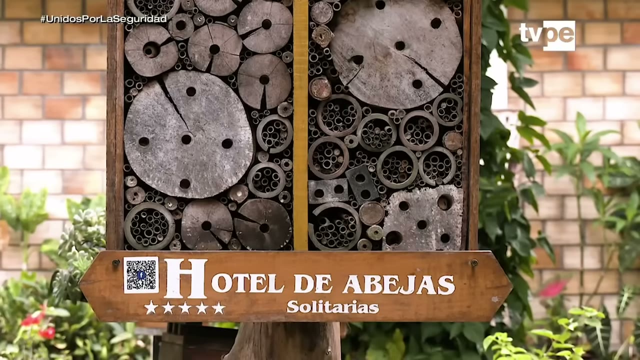 Hotel de abejas del meliponario de Yantaló