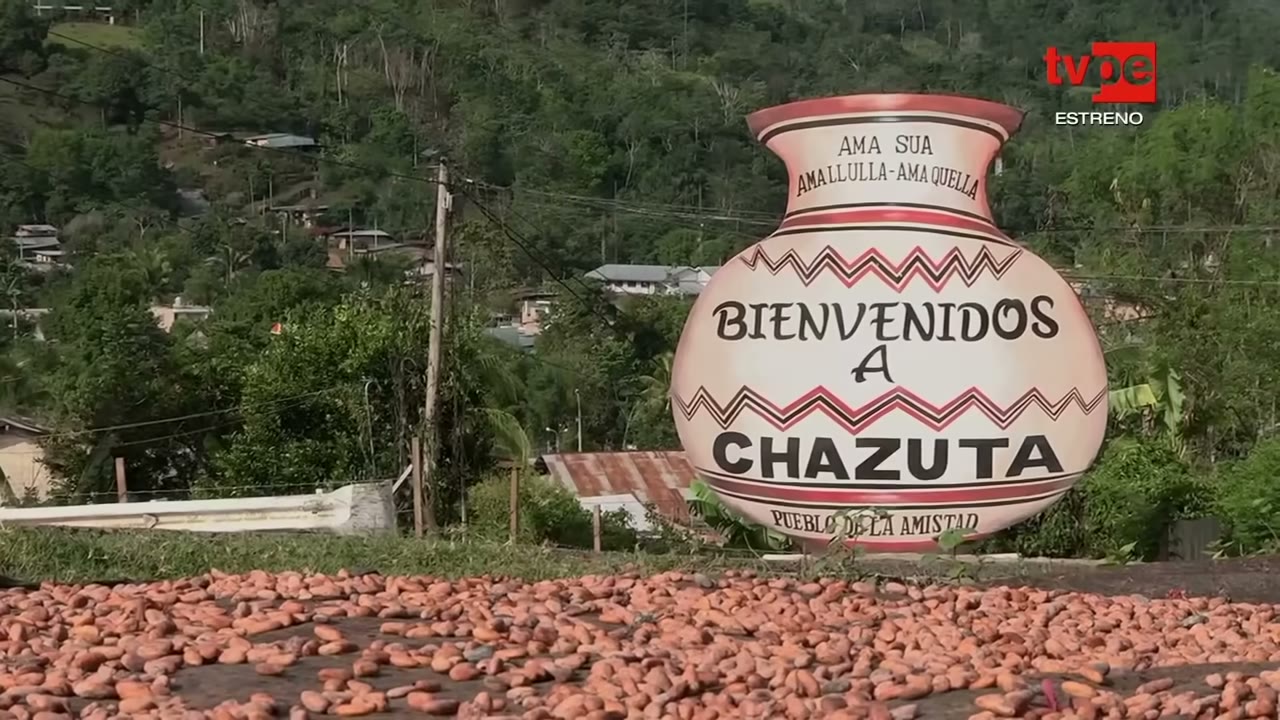 Cacao secándose a la entrada de Chazuta