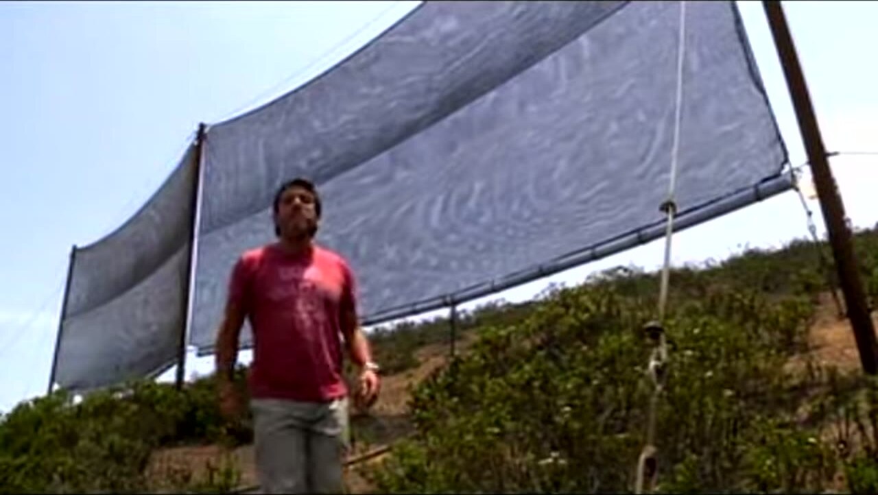Un atrapanieblas en las lomas de Tacahuay