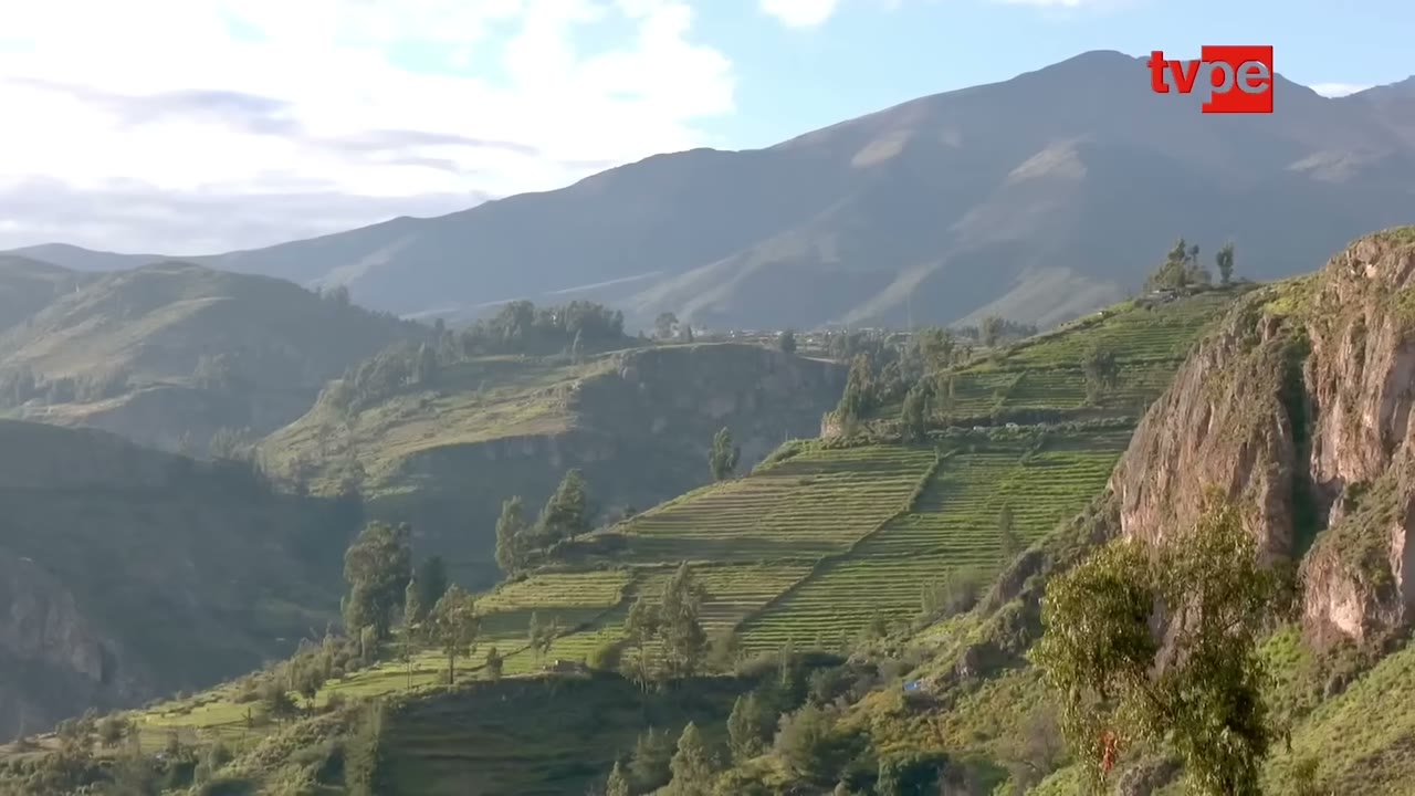 Andenería y campiña de Tarata