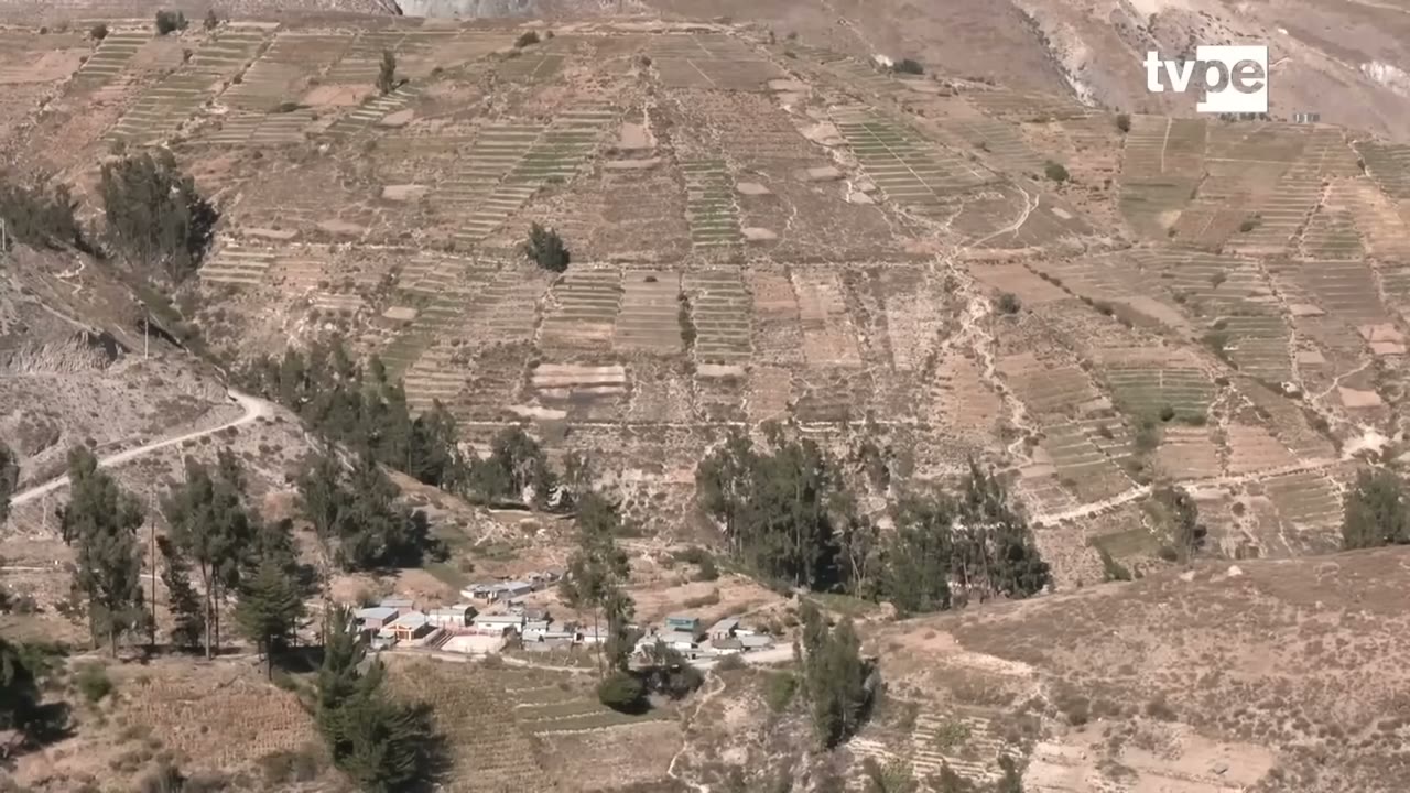 Andenes y caserío de Toquela