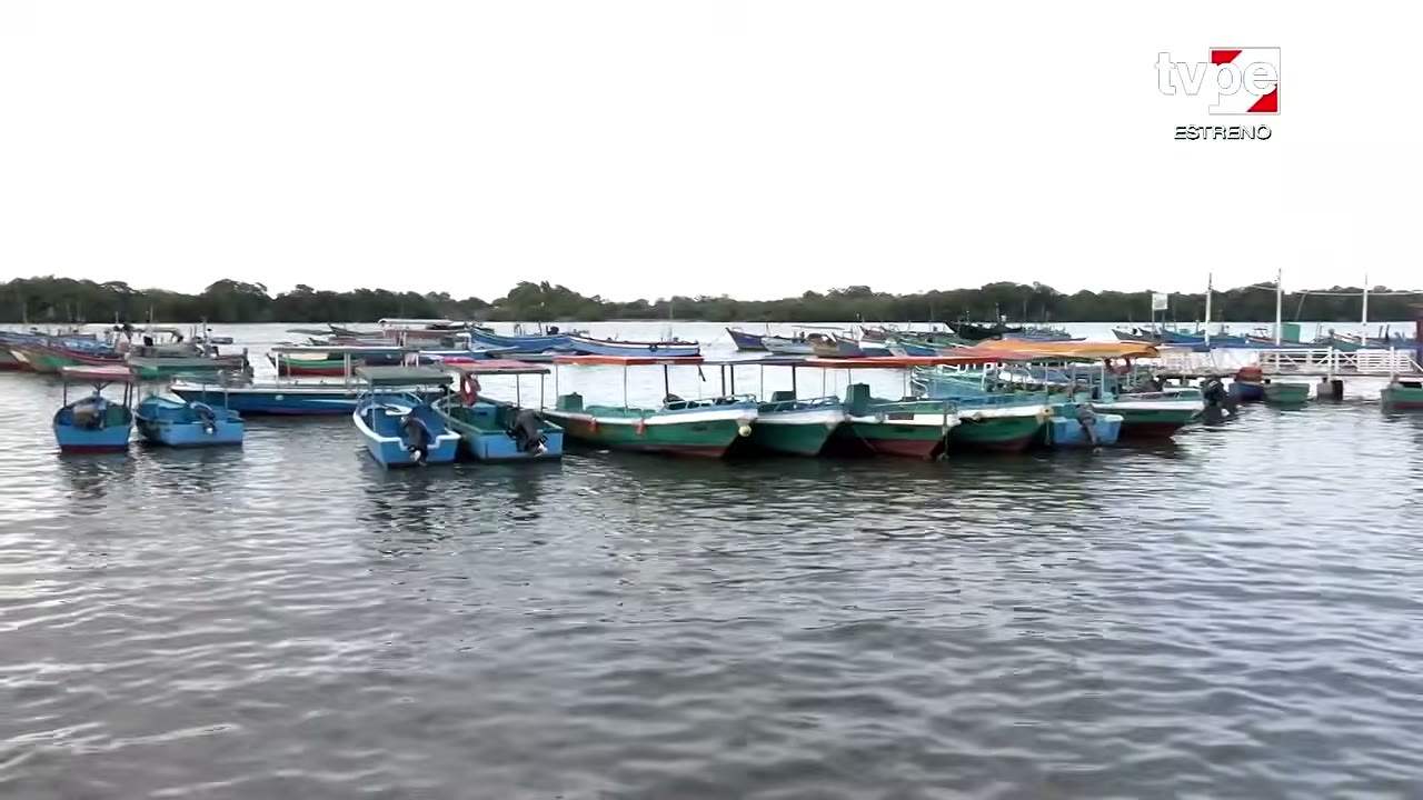 Botes en Puerto Pizarro