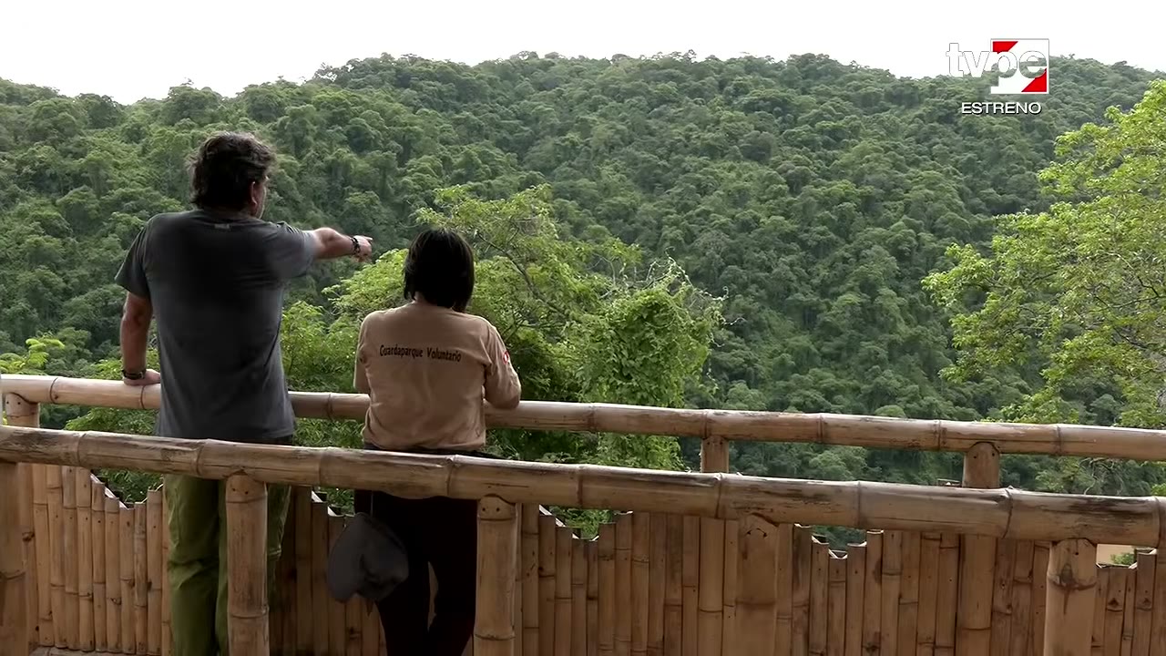 Mirador sobre el bosque de Amotape