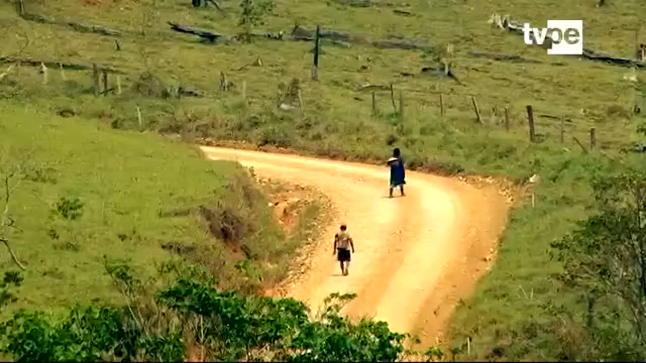 Camino entre los pastizales de Oventeni