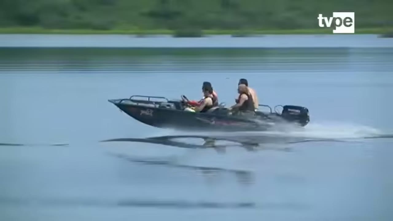 Una lancha a toda velocidad en Cashibococha