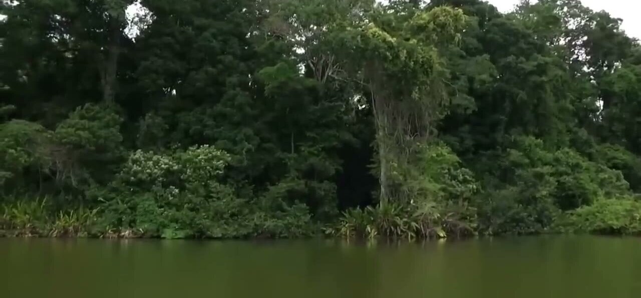La laguna junto a la estación Cocha Cashu