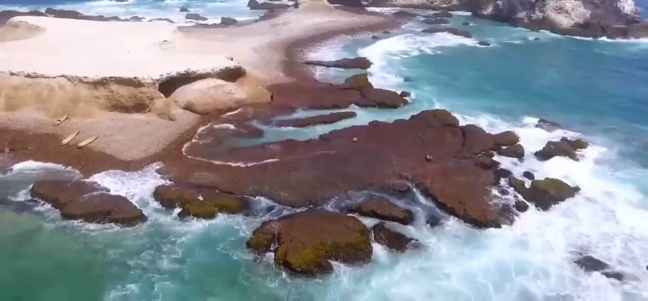 La isla Erizo