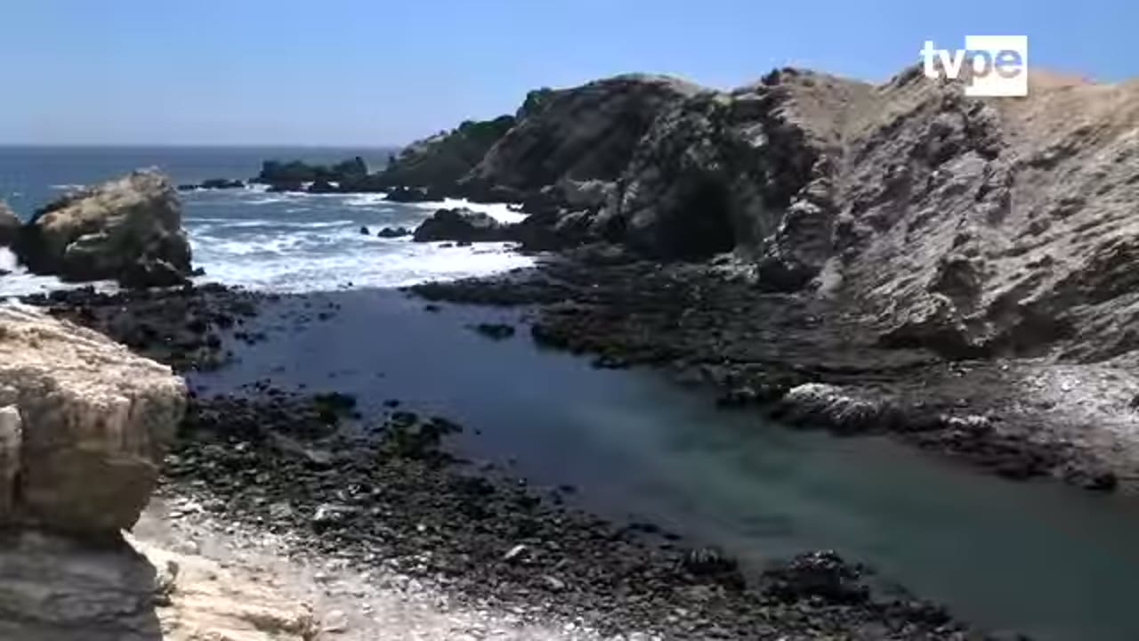 Donde la isla Foca se parte en dos