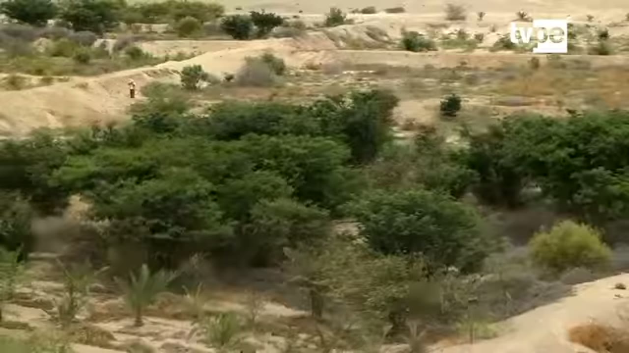 El bosque de Samaca en medio del desierto