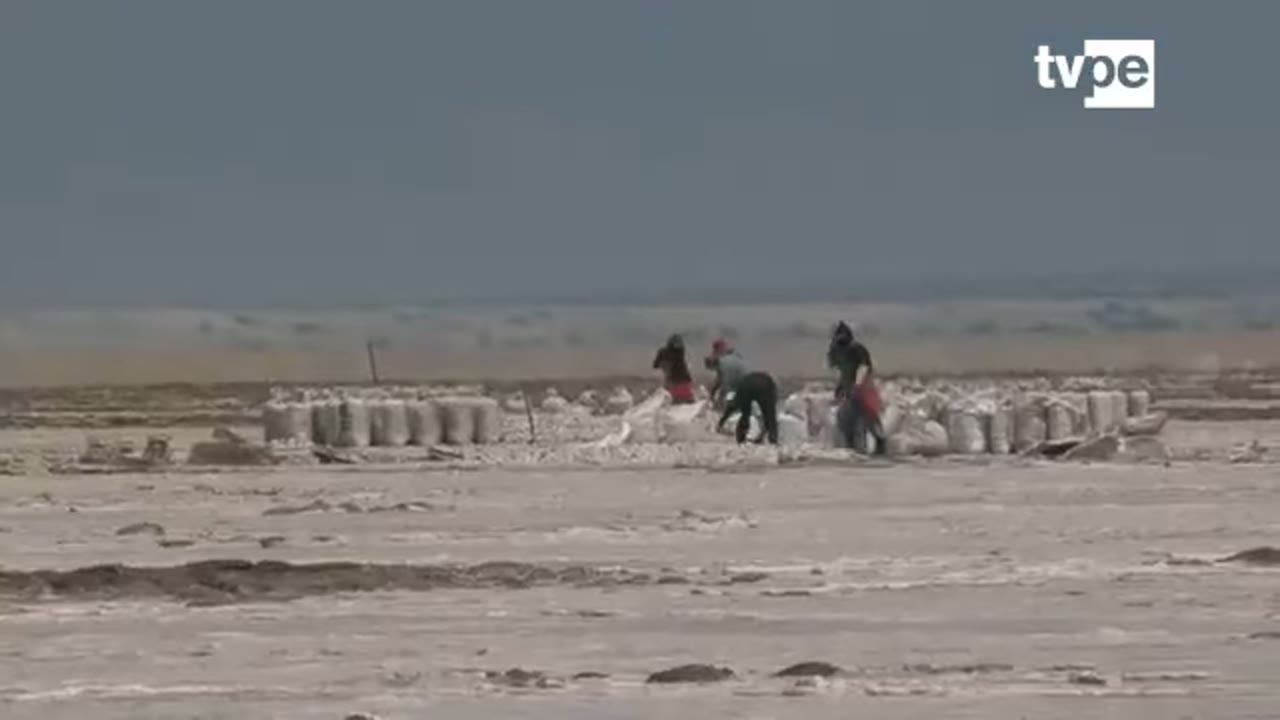 Obreros sacando sal en las salinas de Sechura