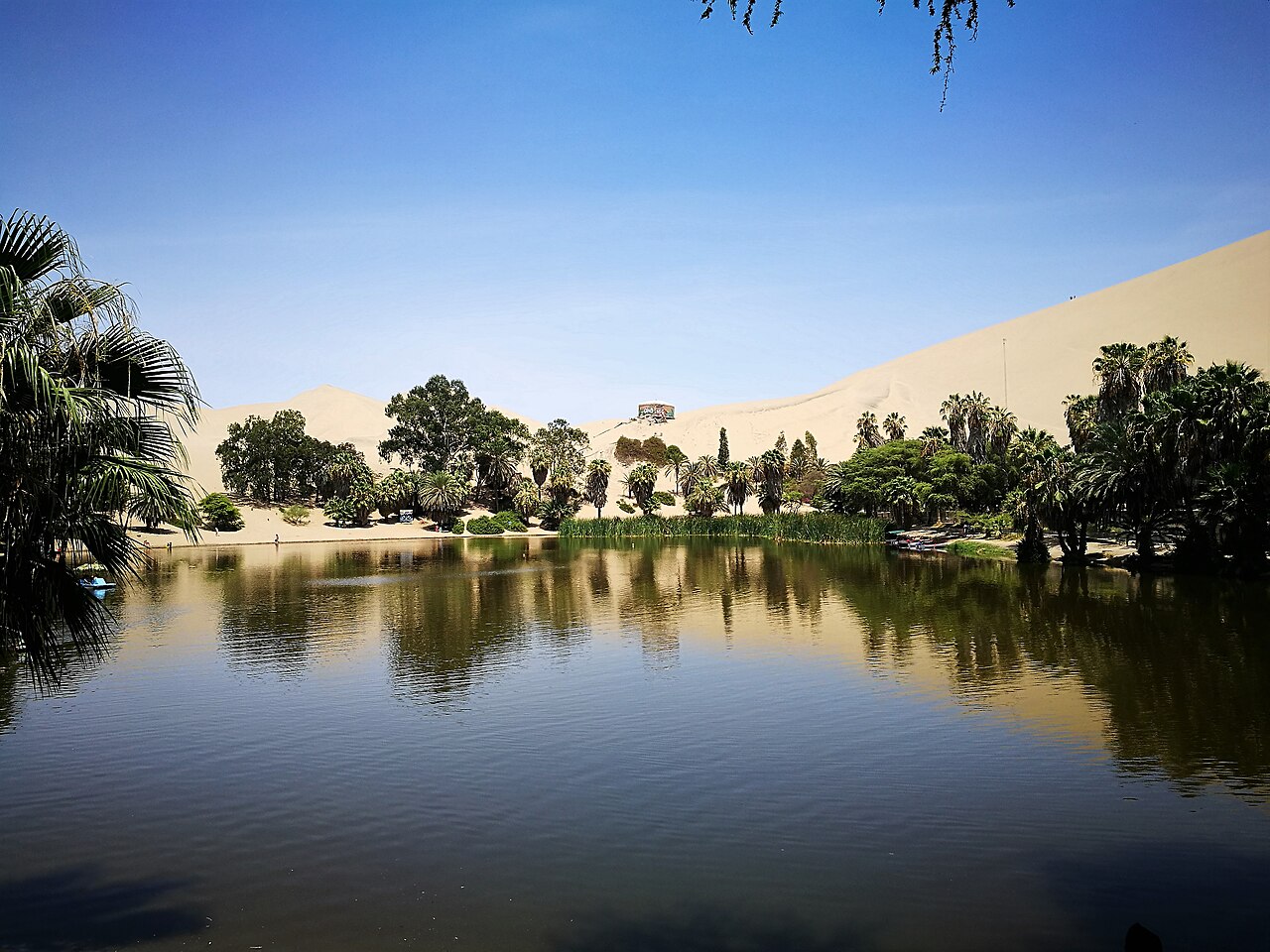 La laguna de Huacachina, palmeras y dunas