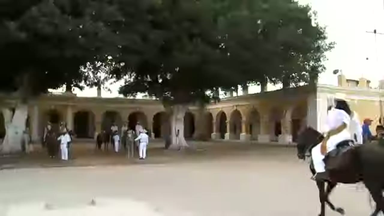 Caballos de paso en Chiquitoy