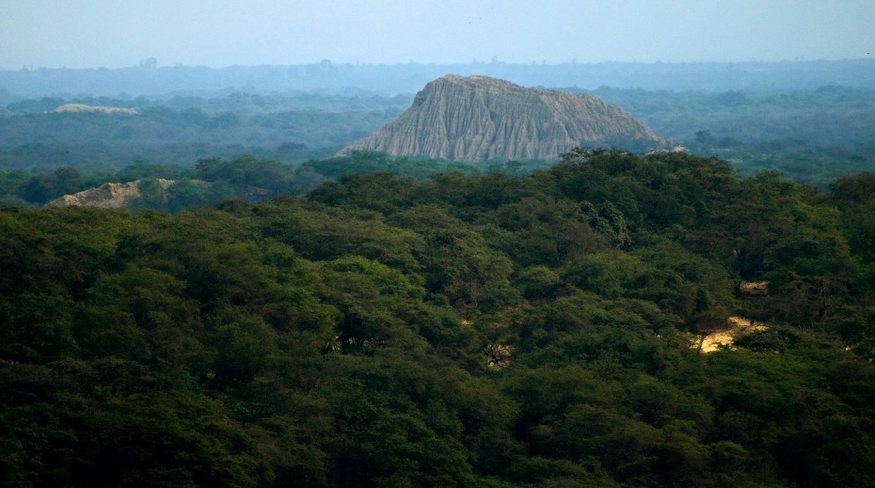Bosque seco de Pómac y la Huaca del Oro