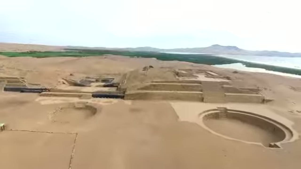 Bandurria entre el desierto, el humedal y el mar
