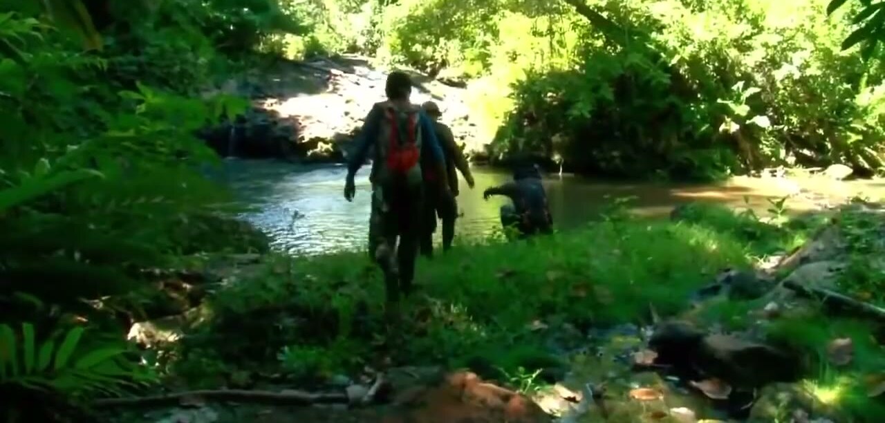 Una quebrada en la Sierra del Divisor