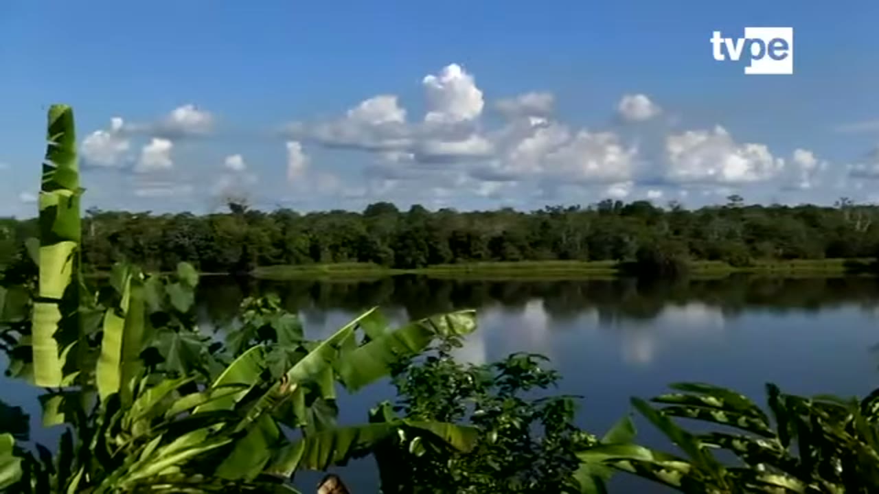 El lago Cuipari rodeado de bosque