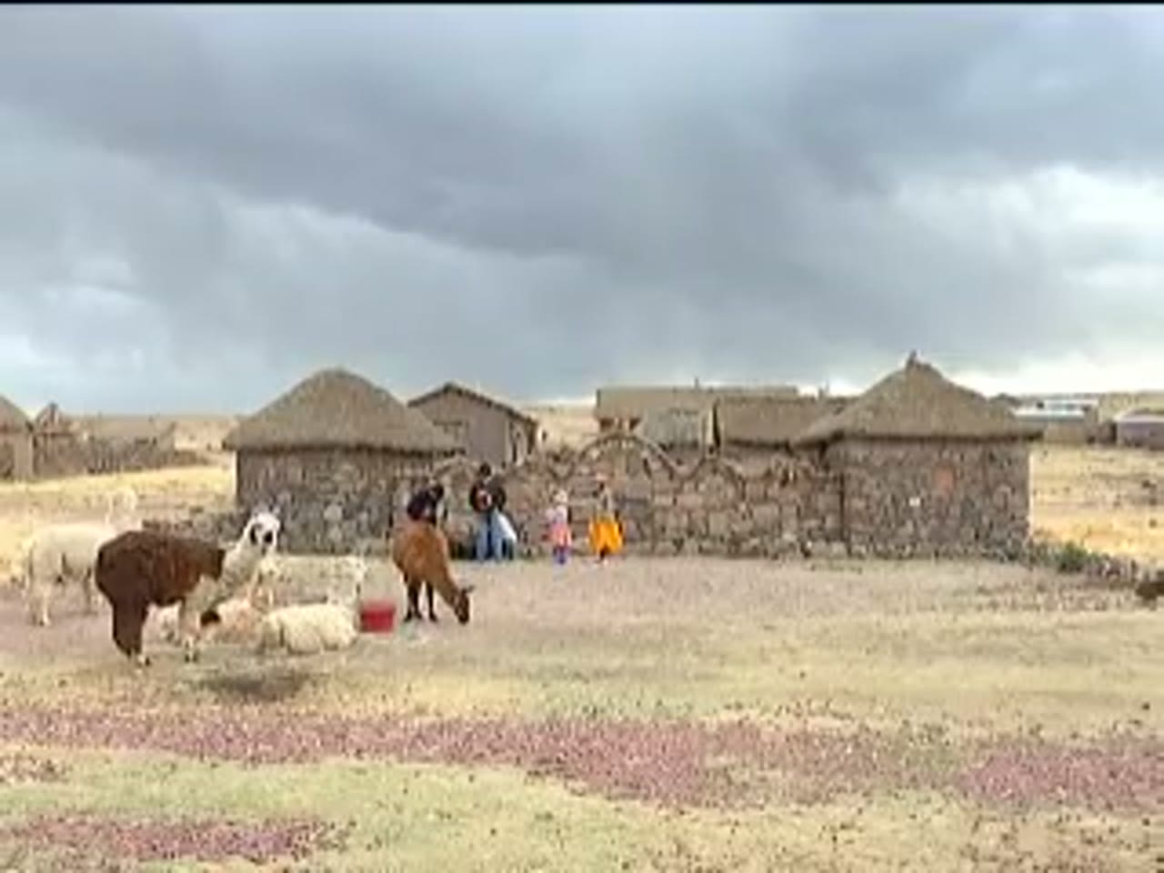 Casas de Atuncolla, con techos de paja, y sus alpacas